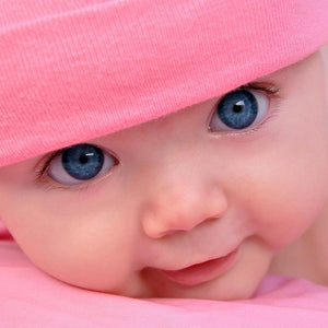Highchair