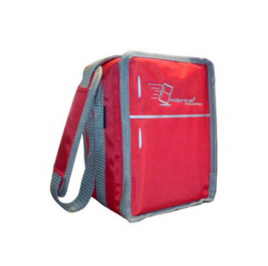 Fridge-To-Go Mini Fridge Bottle Carrier - Red